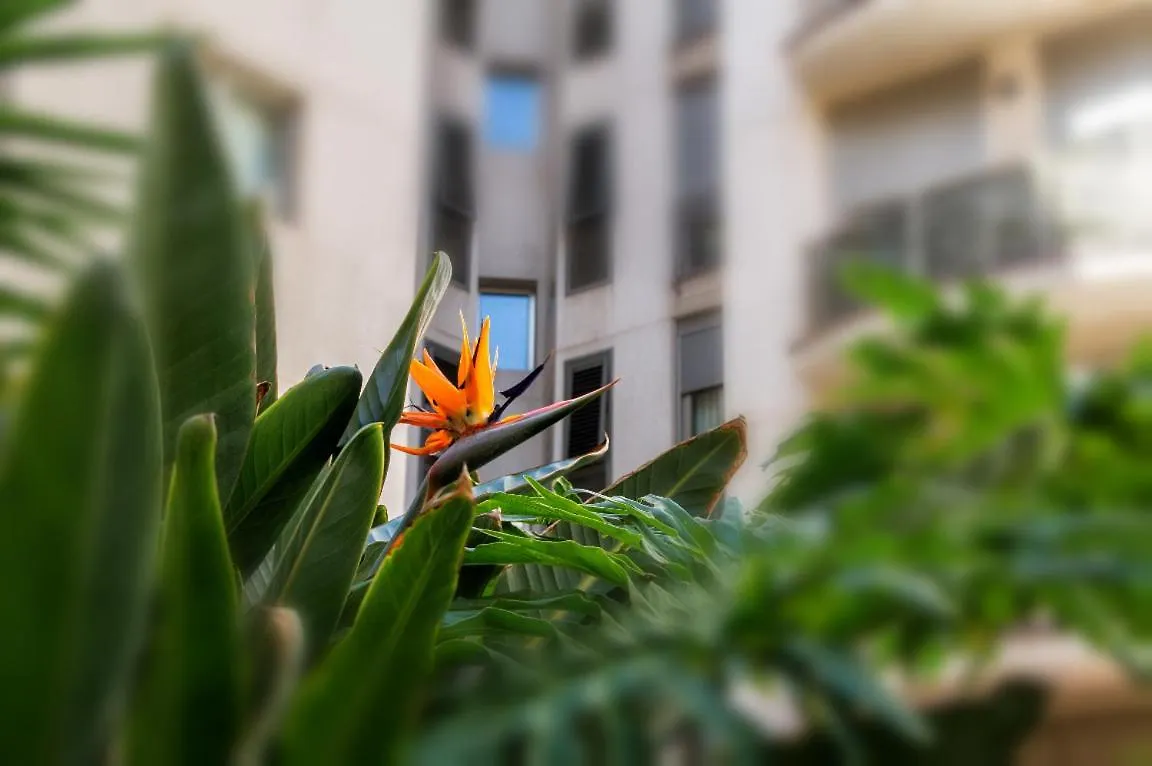 New Estrelitzia Luxury Apartamen Santa Cruz de Tenerife